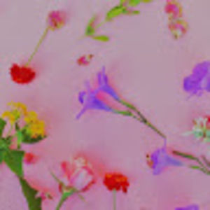 Meet your Posher, Bernadette